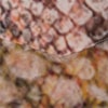 BORDA BARROCA - CAMISÃO VISCOSE ESTAMPA IGUANA - MARROM