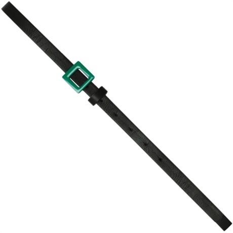 CAPITOLLIUM - CINTO FINO FIVELA METAL COLORIDA SPADE - VERDE