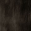 CAPITOLLIUM - COLETE PELO LISO - MARROM CAPITOLLIUM - COLETE PELO LISO - MARROM