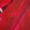 CHOLET - CALÇA PANTALONA CETIM EST. PALMEIRA - PINK