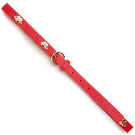 CINTO COM PLACAS BEIJOS - VERMELHO